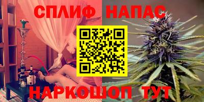 ECSTASY Бердск